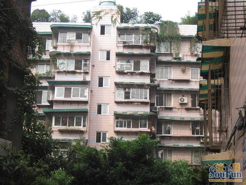 金泉小区3室1厅2卫南朝向2900.00元/月出租
