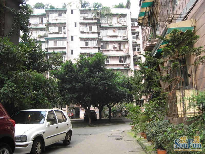 金泉小区3室1厅2卫东南朝向3200.00元/月出租