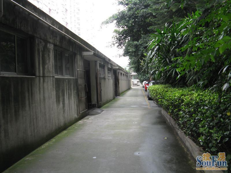 邮电局宿舍3室2厅1卫南朝向2600.00元/月出租