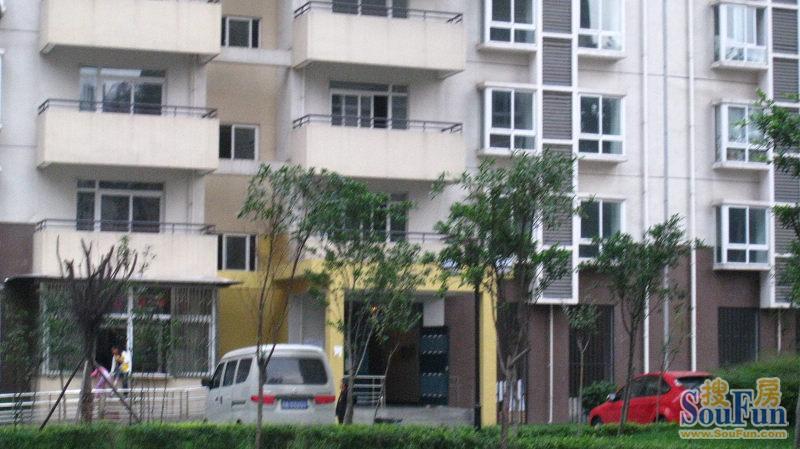 柳江新居五期3室1厅1卫南朝向3500.00元/月出租