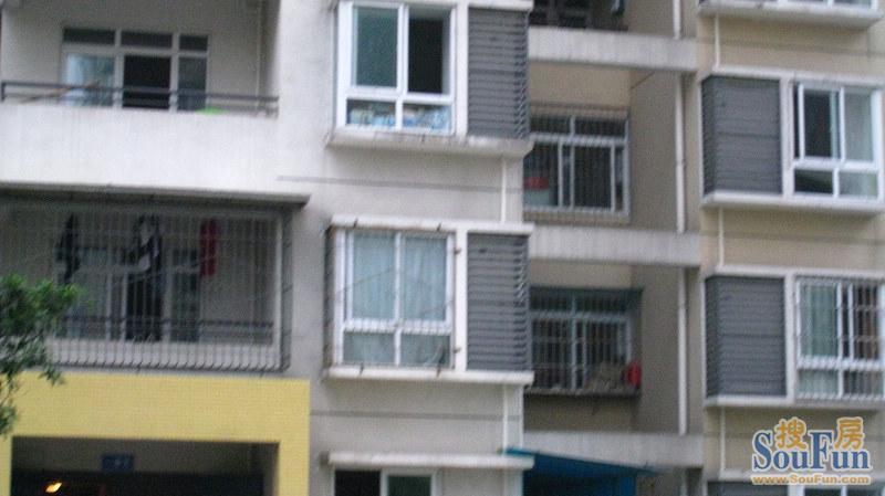 柳江新居五期2室1厅1卫东南朝向2700.00元/月出租