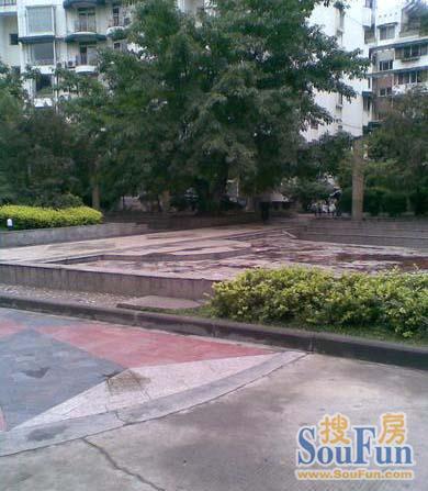 天鑫花园东区2室1厅1卫西南朝向1900.00元/月出租