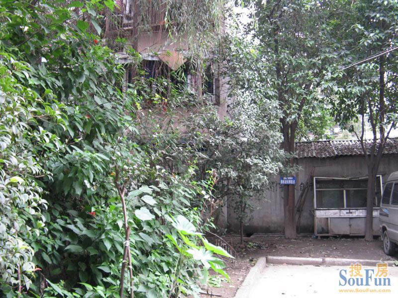 整租·清溪南街19号 2室2厅 北/东北