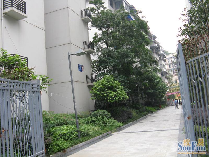 唯特郡1室1厅1卫东南朝向2000.00元/月出租