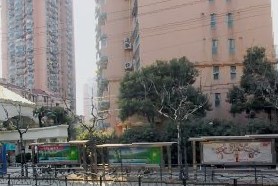 斜土路520号外景图