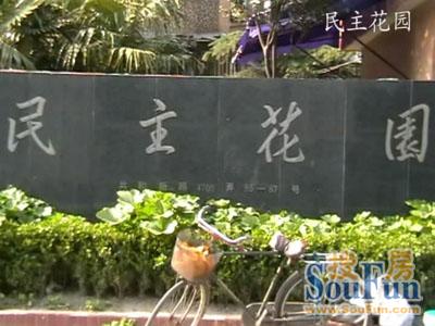 民主花园
