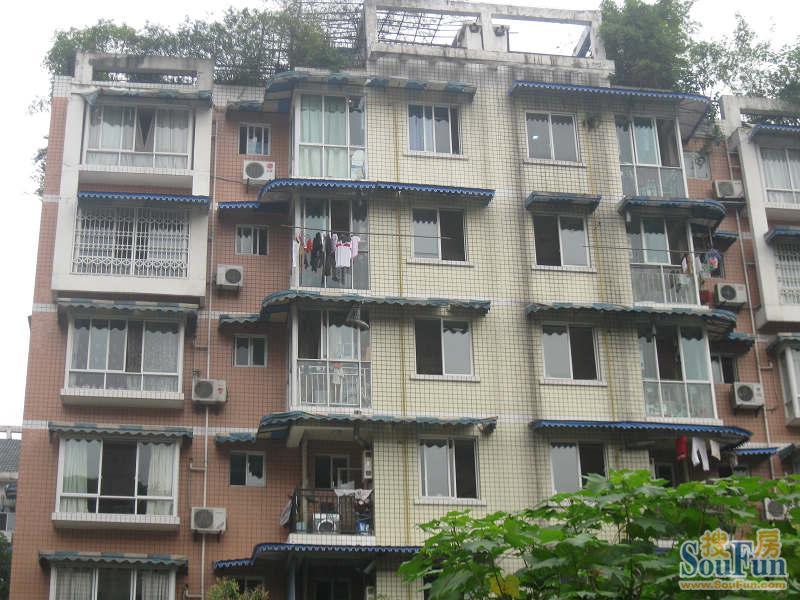 莲花新三区1室1厅1卫东南朝向1600.00元/月出租