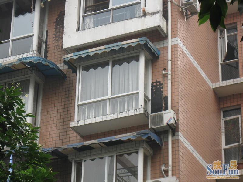 莲花新四区3室1厅1卫东南朝向2450.00元/月出租