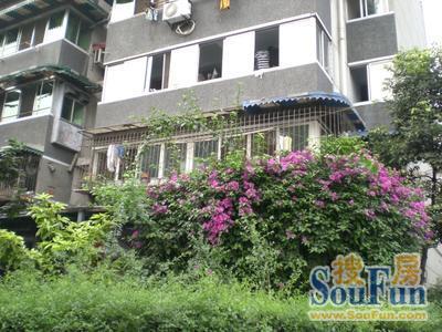 福兴苑3室1厅1卫西南朝向2000.00元/月出租