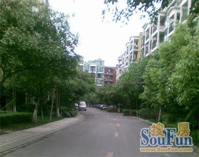 安信花园3室1厅1卫南朝向2700.00元/月出租