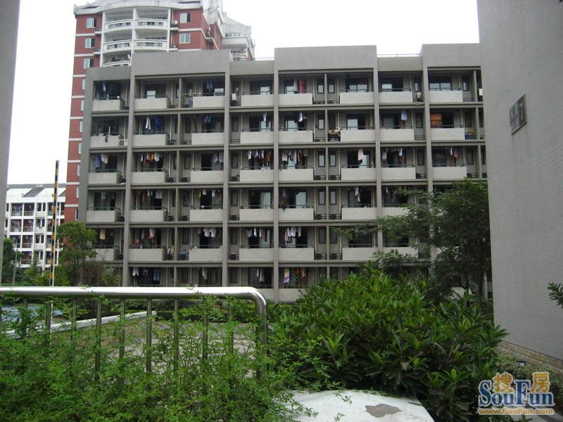 东尚国际寓所二手房实景图