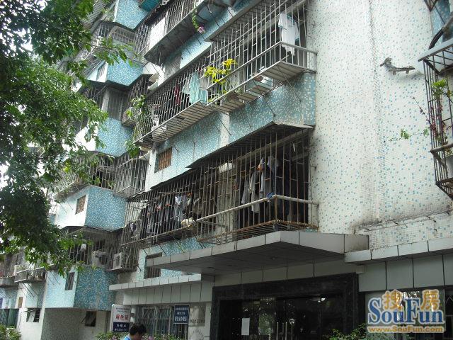 深圳香蜜湖家属楼怎么样香蜜湖家属楼小区价格与环境详解