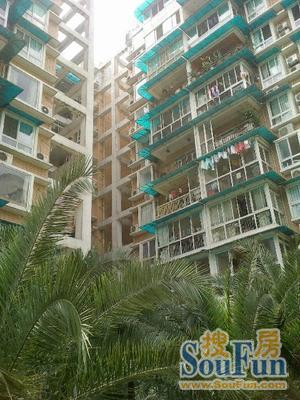 汇锦公寓3室1厅1卫东朝向4500.00元/月出租