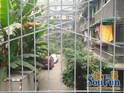 红色小区3室2厅1卫东南朝向2200.00元/月出租