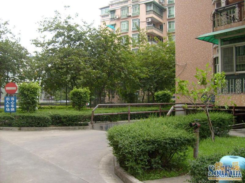 东鹏花园二期2室1厅1卫东南朝向3500.00元/月出租