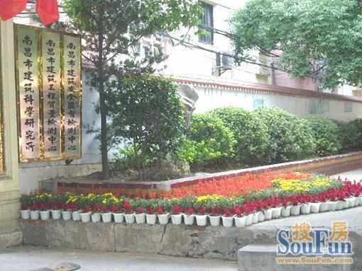 福州路园林处宿舍2室1厅1卫南朝向1600.00元/月出租