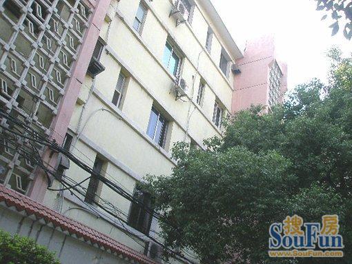 福州路园林处宿舍实景图