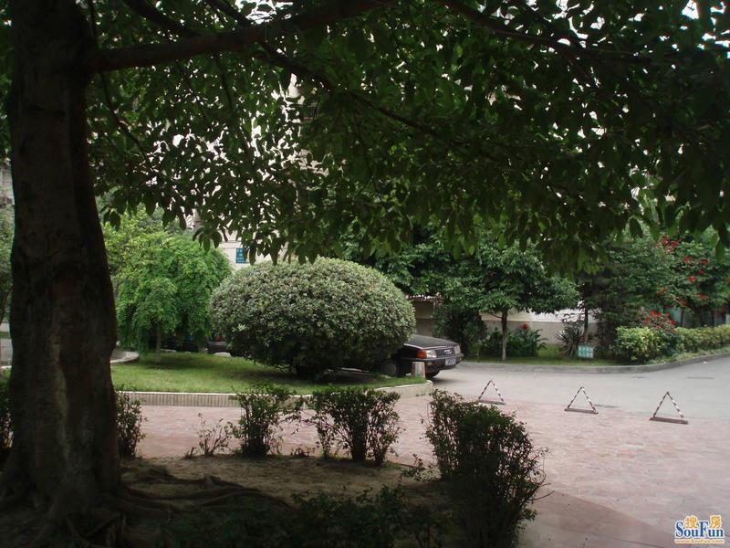 棕南丁区2室1厅1卫西北朝向2200.00元/月出租