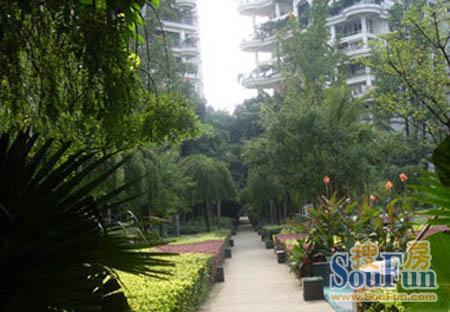 时代丽都美语2室1厅1卫东南朝向3000.00元/月出租