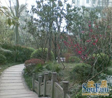 水云花都北区3室1厅2卫东南朝向4000.00元/月出租