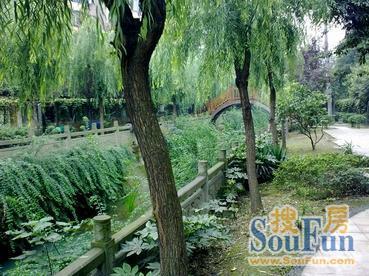 青羊小区(成都)2室1厅1卫东朝向1650.00元/月出租