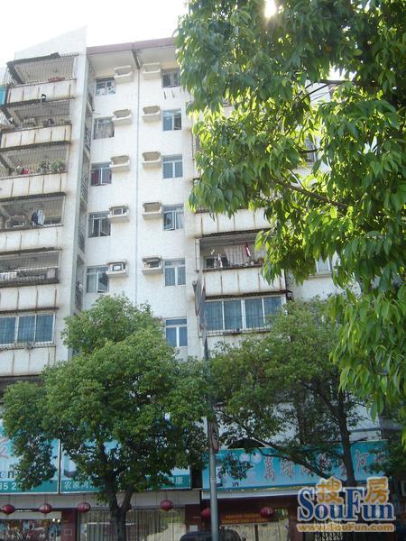 南山泉水鸡_南山泉水鸡人均消费(2)