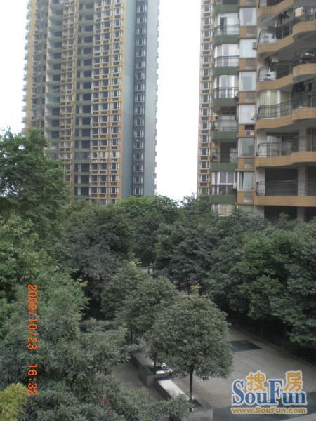 CIMG0454