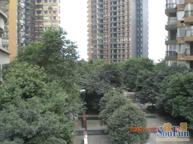 CIMG0455