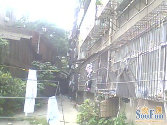 二七北路3442室2厅1卫南朝向1100.00元/月出租
