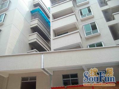怡园居1室1卫东南朝向800.00元/月出租