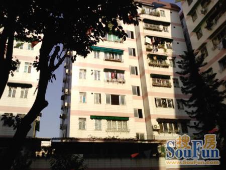 金满家园2室1厅1卫东朝向2500.00元/月出租
