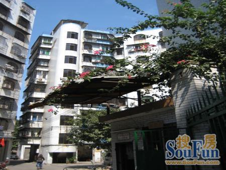 华南苑1室1厅1卫南朝向800.00元/月出租