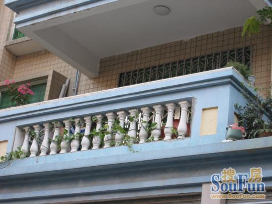 锦鹏苑3室2厅2卫南北朝向2200.00元/月出租