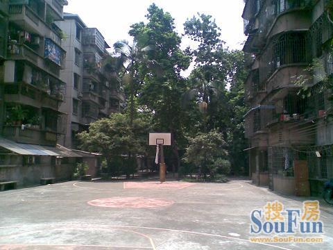 窖口大街小区3室2厅1卫南北朝向2500.00元/月出租