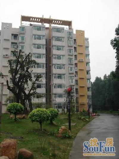 南华工商学院教师宿舍1室1厅1卫南朝向1000.00元/月出租