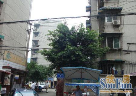 蜀明东路小区2室1厅1卫东南朝向1800.00元/月出租
