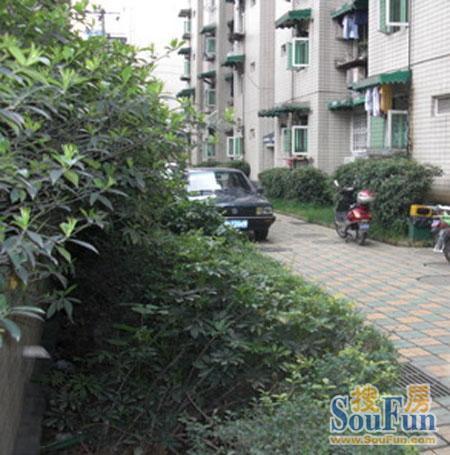 营兴街2号院3室1厅1卫东南朝向2300.00元/月出租