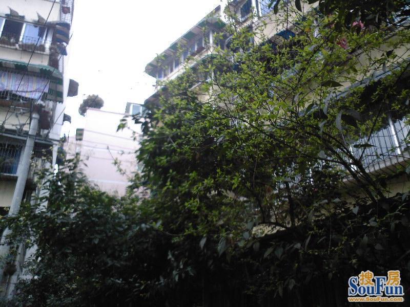 菊乐路122号院2室1厅1卫南朝向1900.00元/月出租
