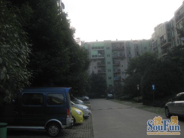 紫荆馨苑3室2厅2卫南朝向3400.00元/月出租