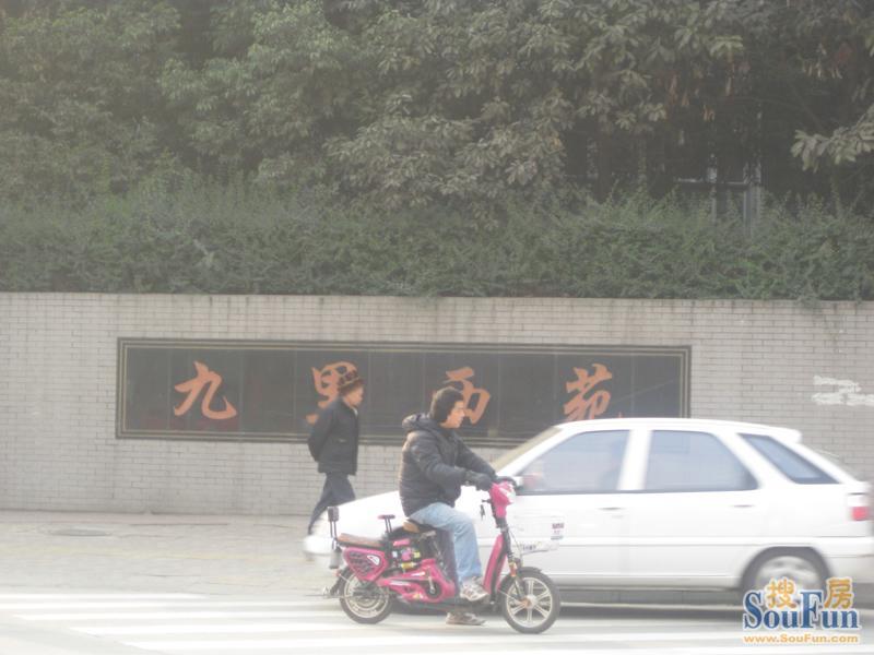 九里西苑实景图