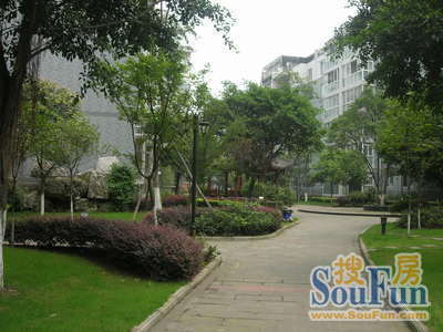 整租·香城国际 2室1厅 南/北