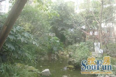 望丛小区3室2厅1卫东南朝向1480.00元/月出租