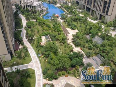 月亮湾3室2厅1卫南朝向2600.00元/月出租