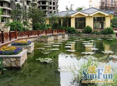 东骏湖景湾3室2厅2卫南朝向2600.00元/月出租