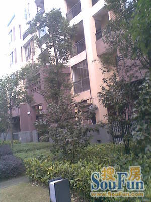 茶园新区机关单位小区二手房实景图