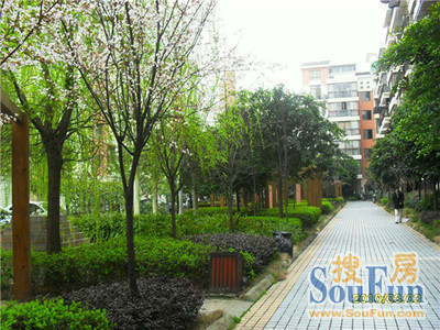 安纳西时光3室2厅2卫东南朝向1200.00元/月出租