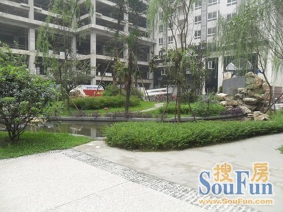 国栋南园五星城3室1厅2卫南朝向2300.00元/月出租