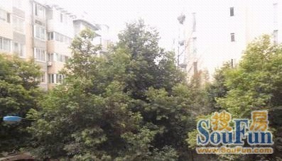 百盛苑3室1厅1卫西南朝向1800.00元/月出租