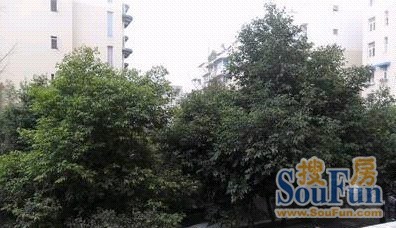 百盛苑2室1厅1卫西南朝向1700.00元/月出租
