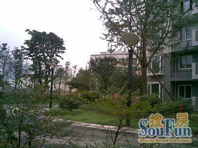 华栋云庭4室1厅1卫东朝向4000.00元/月出租